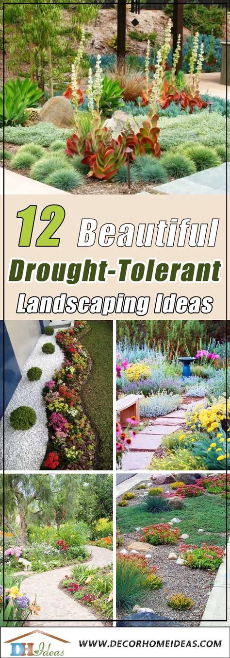 12 Best Drought Tolerant Landscaping Ideas #droughttolerant #landscaping #garden #decorhomeideas Water Tolerant Landscaping Front Yards, Low Water Backyard Landscaping, Drought Tolerant English Garden, Drought Tolerant Landscape Front Yard Zone 7, Semi Arid Landscaping Ideas, Xeriscape Design Plans, Drout Resistant Landscaping, Front Yard Drought Tolerant Landscaping California, Drout Tolerant Landscaping Front Yard