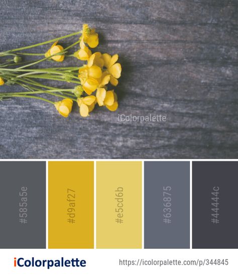 Color Palette For Home, Yellow Paint Colors, Decor Color Palette, Color Palette Ideas, Flower Image, Yellow Colour Scheme, Color Palette Yellow, Color Schemes Colour Palettes, Palette Ideas