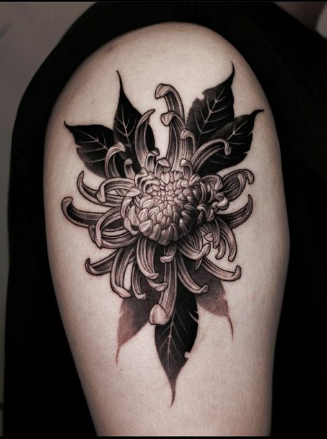 Flower Tattoo Shading, Flower Tattoos Chrysanthemum, Dark Botanical Tattoo, Blackwork Peony Tattoo, Dark Flower Tattoos, Dark Flowers Tattoo, Dark Nature Tattoo, Blackwork Flower Tattoo, Dark Flower Tattoo