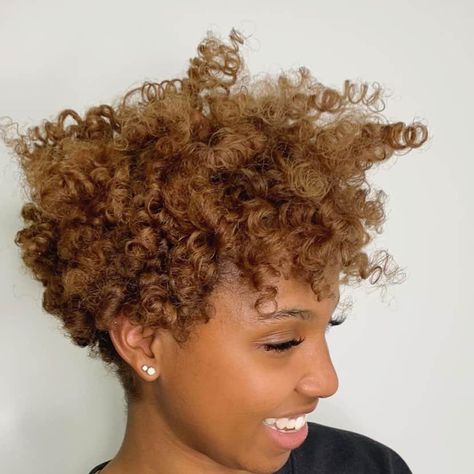 30 Trendy Hair Color Ideas For Black Women Black Natural Hair Color Ideas, Caramel Short Hair Color, Bronze Highlights On Black Hair, Twa Hair Color Ideas, Short Colored Natural Hair Black Women, Color On Natural Hair Black Women, Hair Color For Natural Hair Black Women, Summer Hair Colors For Black Women, Natural Hair Color For Black Women