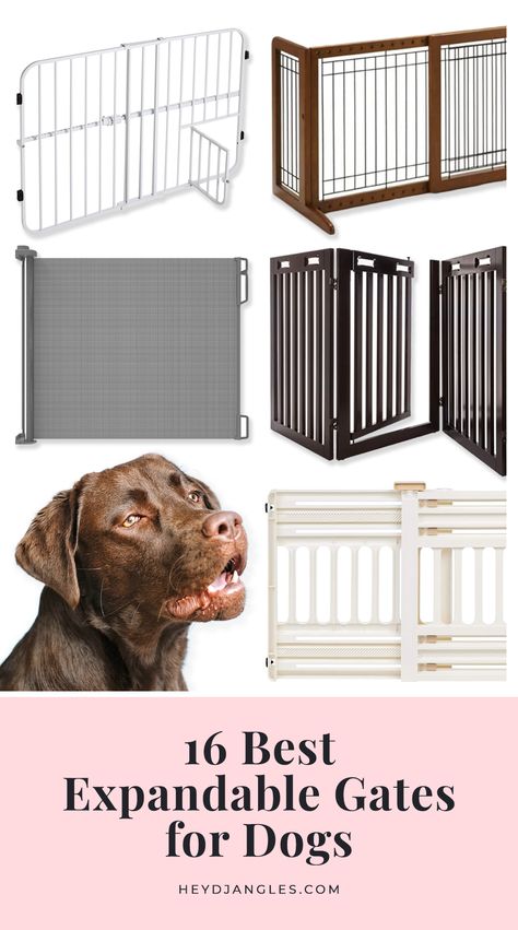 16 Best Expandable Gates for Dogs - feat. expandable pet gates from brands such as Carlson, ARF Pets, Pawland, Richell, Frisco, Regalo, IRIS USA, Cardinal Gates and more. #expanablepetgate #doggate #petgate Retractable Fence For Dogs Outdoor, Dog Gates Indoor, Outdoor Pet Gate, Gates For Dogs, Retractable Pet Gate, Retractable Dog Gate, Puppy Gates, Cat Gate, Dog Gates