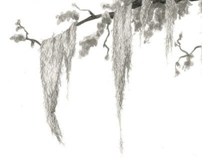 Moss Drawing, Trees Art Drawing, Spanish Moss Trees, Hanging Moss, Tree Drawing Simple, Ghost Tattoo, Live Oak Trees, Tree Sketches, Botanical Tattoo