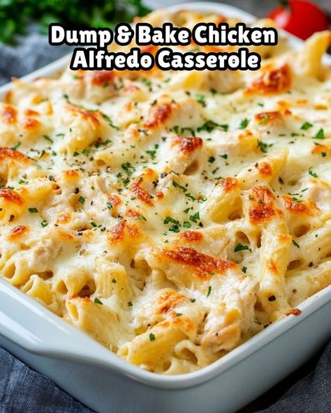 Dump And Bake Alfredo, Fettucini Alfredo Recipe, Chicken Alfredo Bake Recipe, Homemade Chicken Alfredo, Creamy Chicken Alfredo, Baked Chicken Alfredo Pasta, Alfredo Casserole, Alfredo Chicken, Dump And Bake