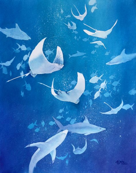 "Liquid Motion," watercolor on cold pressed paper, $875.00  Available for purchase. Please inquire: alexislavineartist@gmail.com Animal Illustration Art, Plein Air Landscape, Underwater Art, Artist Website, Inspiring Art, Art Instructions, Small Paintings, Fish Art, Ocean Art