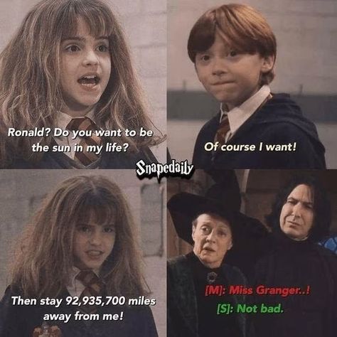 Sorting Ceremony, Harry Potter Funny Pictures, Harry Potter Parody, Glume Harry Potter, Funny Harry Potter Jokes, Harry Potter Memes Hilarious, Harry Potter Feels, Harry Potter Puns, Harry Potter Images