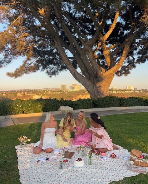 Aesthetic Picnic Pictures Friends, Bday Picnic Ideas, Girls Picnic Ideas, Picnic Bday Party Ideas, Picnic Cake Ideas, Pink Birthday Picnic, Picnic Party Aesthetic, Picnic Photoshoot Friends, Picnic Birthday Party Aesthetic