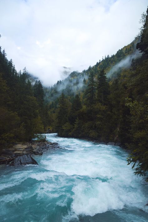 Pacific Northwest Color Palette, Pacific Northwest Gothic, Bridget Aesthetic, Pnw Painting, Pacific Northwest Aesthetic, Pacific Northwest Landscape, Pacific Northwest Forest, Northwest Pacific, Northwest Landscaping