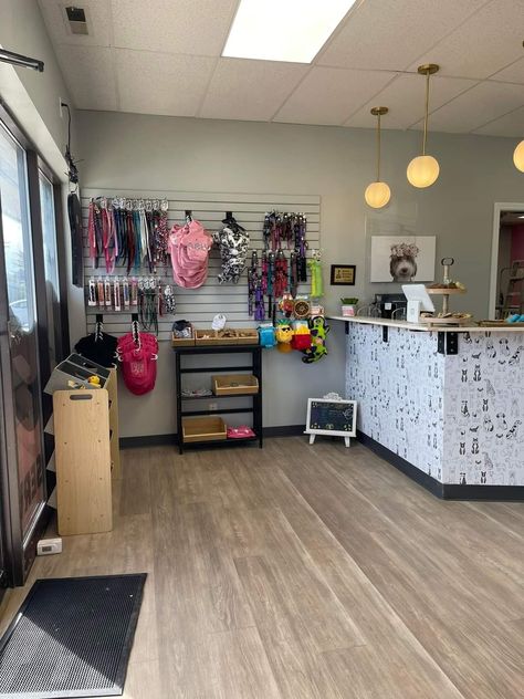 Dog Grooming Parlour Ideas, Dog Grooming Salon Decor Reception Desks, Grooming Salon Organization Ideas, Dog Grooming Studio Ideas, Dog Boarding Organization Ideas, Small Pet Grooming Salon Ideas Design, Dog Grooming Salon Design, Grooming Salon Lobby, Dog Daycare Aesthetic