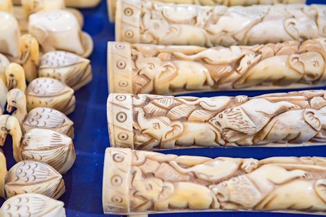 Illegal ivory trade continues to thrive in Europe Ivory Trade, Countries In Europe, Racial Equality