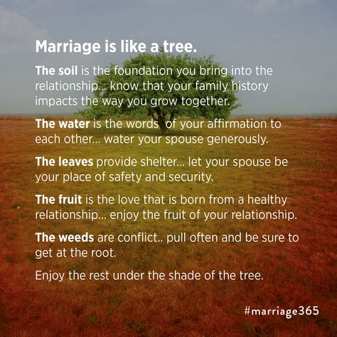 Marriage is like a tree. Strong Marriage Quotes, Wedding Quotes Marriage, Love Marriage Quotes, Tree Quotes, Marriage Therapy, Marriage Advice Quotes, Wedding Readings, Love Truths, Strong Marriage