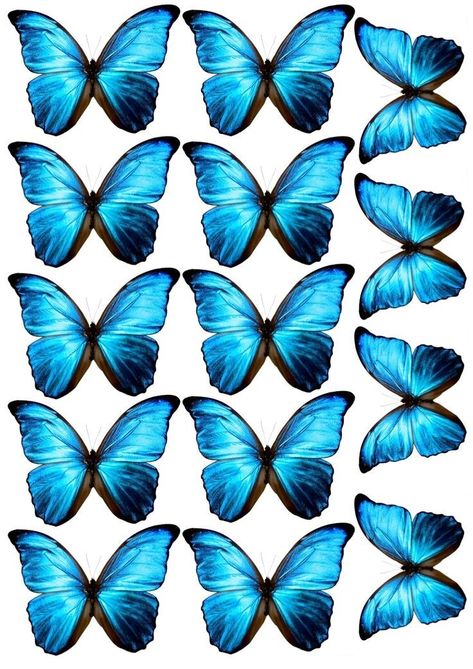 Blue Butterfly Printable, Hand Art Kids, Planet Drawing, Diy Photo Book, Blue Butterfly Wallpaper, Best Friend Wallpaper, Birthday Cake Topper Printable, Butterfly Template, Paper Background Design