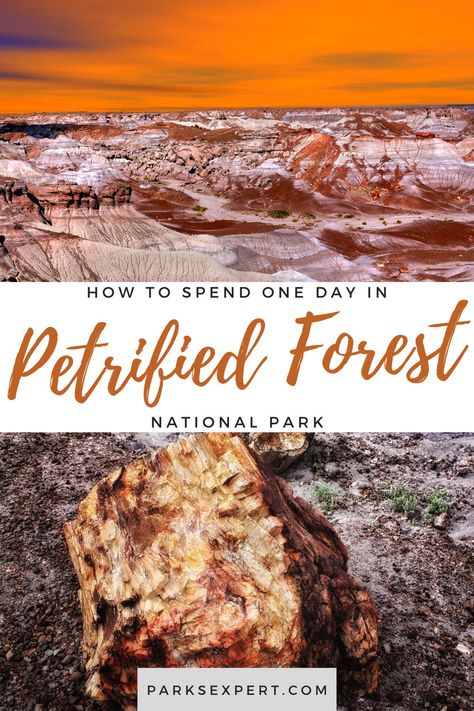 A guide to how to spend one day in Petrified Forest National Park. This Petrified Forest itinerary includes trails to hike, visitor centers, overlooks, things to do, and more. National Park Itinerary, Petrified Forest National Park, National Parks Photography, Petrified Forest, Scenic Roads, National Park Road Trip, Canyonlands National Park, Forest Trail, Forest Road