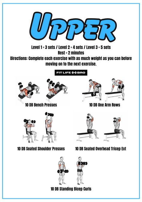 Dumbell Upper Workout, Upper Body Workout At Home Dumbbell, Upper Body Workout Men, Upper Body Workout For Men, Reg Park, Calisthenics Workout At Home, Dumbbell Workout Routine, Dumbbell Workout Plan, Upper Body Strength Workout