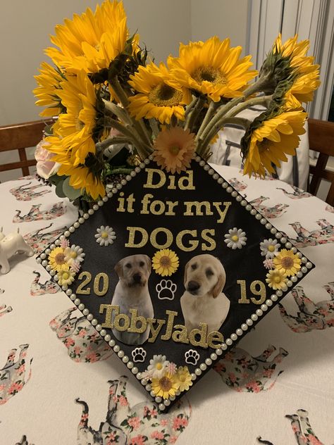 I did it for my dog graduation cap I Did It For My Dog Graduation Cap, Dog Mom Graduation Cap, Graduation Cap Designs Dog, Vet Tech Graduation Cap, Dog Graduation Cap, Graduation Cap College, Msw Graduation, Graduation Things, Dog Graduation