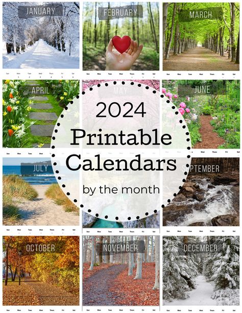 Collage of 12 paths for each month of the year for 2024. Calendar Theme Ideas, Calendars 2024, Free Printable Calendars, Year At A Glance, Printable Calendars, Monthly Calendars, Free Printable Calendar, Budget Printables, Print Calendar