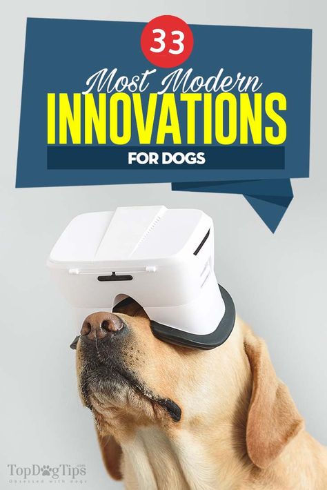 Dog Owner Must Haves, Walking Gear, New Electronic Gadgets, Dogs Diy Projects, Dog Equipment, Dog Gadgets, Cool Dog Houses, Clever Dog, Pet Camera