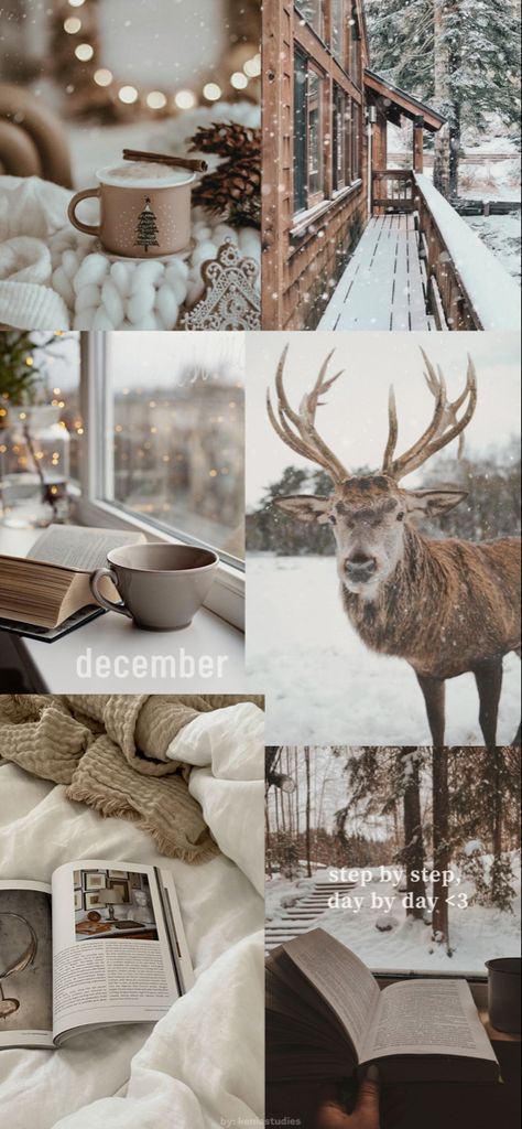 Limited December 2022 iPhone Wallpaper Aesthetic Iphone Backgrounds, December Wallpaper Iphone, Winter Nails 2023, Christmas Wallpaper Iphone Cute, December Wallpaper, Stylish Tips, Winter Iphone, Iphone Wallpaper Winter, Ideas For Bathroom