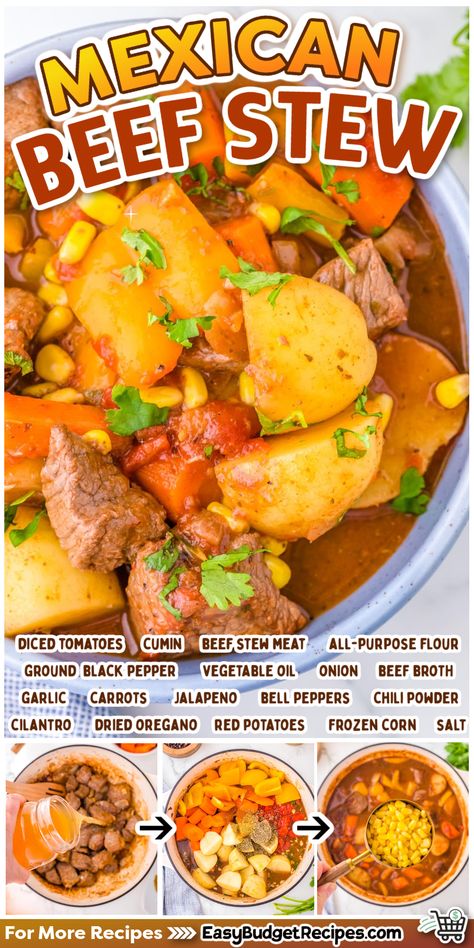 This Mexican Beef Stew fits the bill perfectly if you are looking for an easy and hearty winter meal. It’s great for a cozy evening at home. Mexican Beef Stew, Easy Beef Stew Recipe, Mexican Stew, Slow Cooker Chili Recipe, Easy Beef Stew, Mexican Beef, Stew Meat Recipes, Instant Pot Soup Recipes, Easy Budget