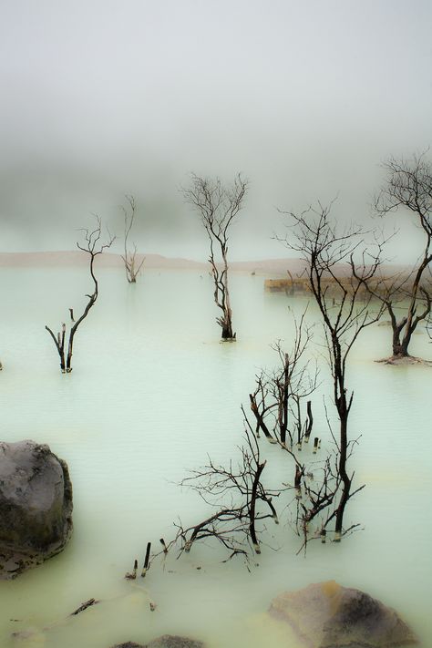 // betomad:  Kawah Putih lake (7.10° S 107.24° E) Keira Core Aesthetic, Unreality Aesthetic, West Java, Boba Fett, Pretty Places, Wisteria, 그림 그리기, Beautiful World, Pretty Pictures