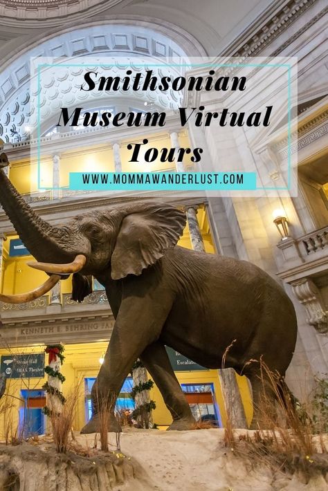 Museum Kids Activities, Indoor Kid Activities, Dc Museums, Virtual Museum Tours, Visit Dc, Paradise Travel, Smithsonian Museum, Virtual Field Trips, Virtual Travel