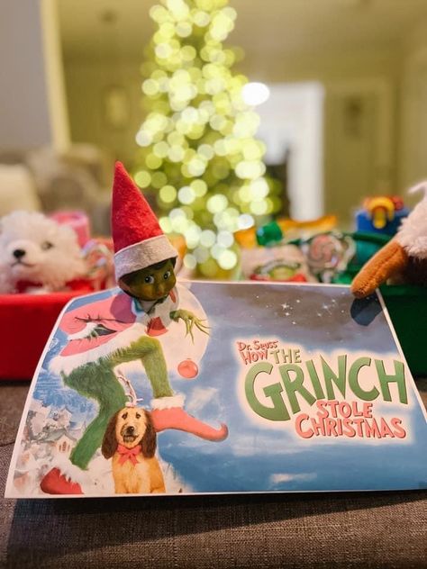 Elf On The Shelf Grinch, Grinch Stole Christmas, On The Shelf, Elf On The Shelf, Grinch, Elf, Bench, Christmas