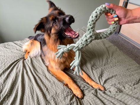 Macrame Pet Toy, Macrame Dog Toys, Dog Macrame, Macrame Pet, Tapestry Diy, Dog Rope Toy, Dog Tug Toy, Large Breed Dogs, Diy Tapestry