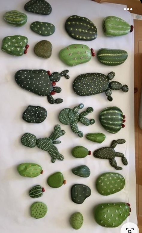 Cactus Rocks, Indoor Cactus Plants, Painted Rock Cactus, Rock Cactus, Painted Rocks Ideas, Indoor Cactus, Cactus Painting, Alpine Plants, Balcony Plants