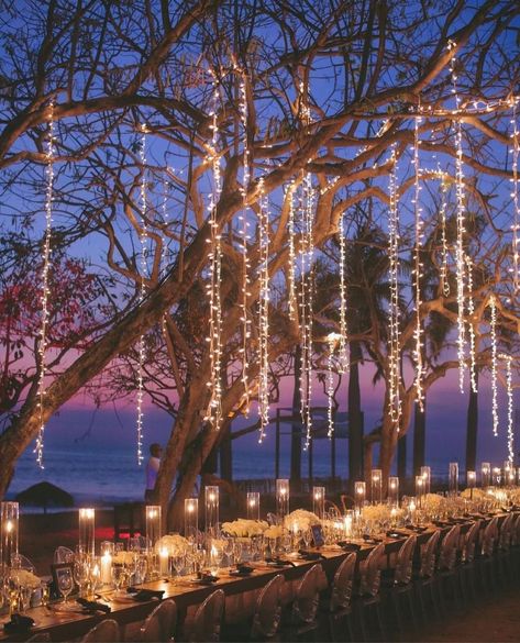 WedLuxe®️ on Instagram: “👏👏 Monday inspo to sweep you off your feet—beachside! Can you imagine dining at this outdoor celebration under all that ✨TWINKLE✨ and of…” Sunrise Wedding, Destination Wedding Caribbean, Outdoor Celebration, Beachside Wedding, Lights Wedding Decor, Costa Rica Wedding, Destination Wedding Photos, Reception Dinner, Villa Wedding