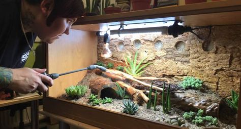 How to Create an Arid Bioactive Vivarium | Reptile Centre Bearded Dragon Setup, Bearded Dragon Vivarium, Terrarium Background, Bearded Dragon Terrarium Ideas, Gecko Vivarium, Leopard Gecko Habitat, Leopard Gecko Tank, Lizard Terrarium, Bioactive Vivarium