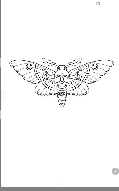 Skull Moth Tattoo Stencil, Moth Outline Drawing, Simple Moth Tattoo Ideas, Moth Tattoo Sketch, Moth Tattoo Drawing, Moth Outline Tattoo, Fine Line Moth Tattoo, Moth Tattoo Outline, Moth Line Drawing