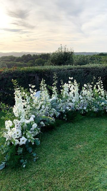 Crescent Arch Wedding, White Ground Arch Wedding, Floral Arch Colorful, Grounded Flower Arch, Grounded Arch Wedding Ceremony, Wedding Ground Florals, Wedding Arch With White Flowers, Ground Arch Wedding, Ground Floral Arch