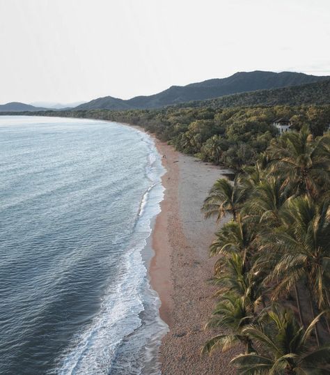 Palm Cove | What a beautiful paradise. Palm Cove, Australia Travel, Beach Trip, Queensland, Storytelling, Paradise, Australia, Water, Travel