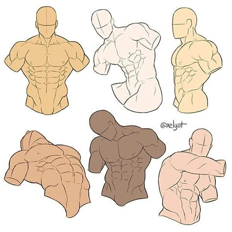 I decided to add some colors to the part A of my male torso studies. High resolution and version with custom notes will be available this… Chest Sketch, Male Torso Reference, Poses Drawing Reference Male, Torso Studies, Anatomy Muscles, Male Torso Anatomy, Abs Art, Male Art Reference, Body Type Drawing