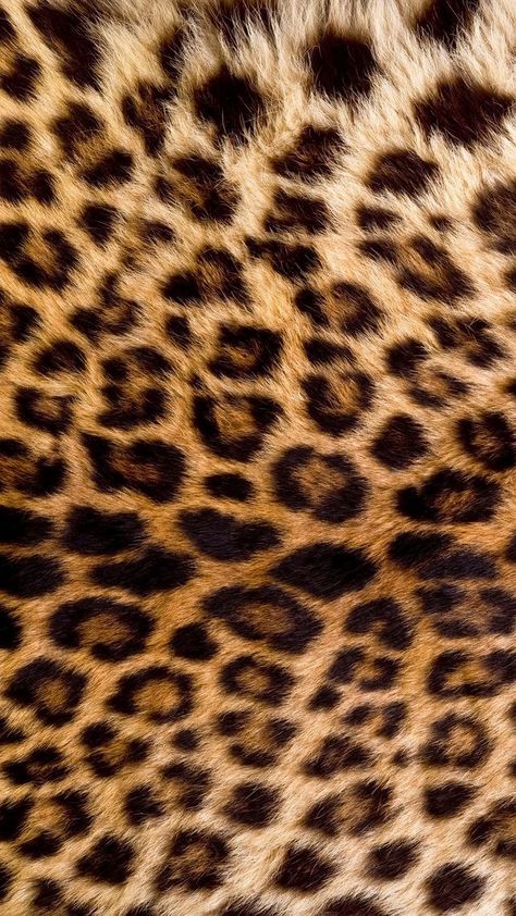 Cheetah Print Background, Leopard Print Background, Leopard Print Wallpaper, Cheetah Print Wallpaper, Tiger Skin, Shotting Photo, Trending Pins, Printed Backgrounds, Pink Wallpaper Iphone