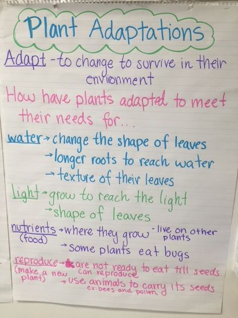 Plant Adaptations Anchor Chart, Plant Adaptations Activities, Adaptations Anchor Chart, Life Science Notes, Teaching Habitats, Reading Annotations, Notes Science, Plant Adaptations, Plants Worksheets