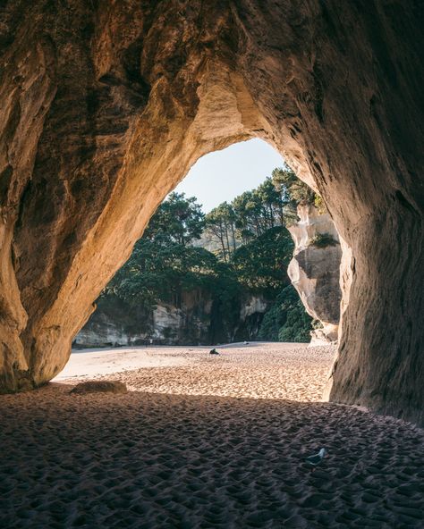 Everything you need to know about the famous Cathedral Cove on the North Island in New Zealand including what to expect, how and when to get there, where to stay and what to bring. Cathedral Cove, Beach Cove, New Zealand Landscape, Kayak Tours, Holiday Resort, Desert Island, Fantasy Places, Warrior Cats, Nature Travel