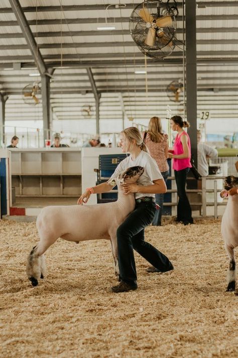 Katahdin Sheep, Outdoor Senior Photography, Livestock Photography, Sedalia Missouri, Livestock Judging, Show Cows, The Big Band Theory, Show Goats, Livestock Show