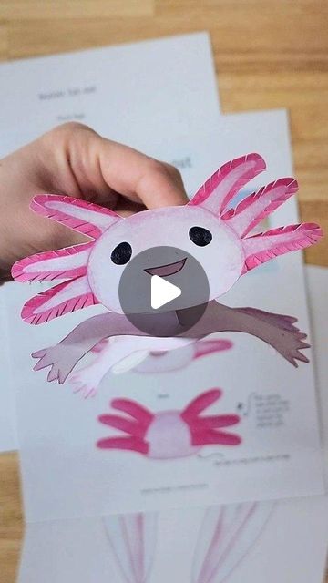 Learn about the Axolotl with our guide!  Origins, stories, and fun activities. Draw An Axolotl, Mexico Activities, Axolotl Care, Axolotl Drawing, Style Writing, Ancient Aztecs, Paw Design, Unit Study, Writing Prompt