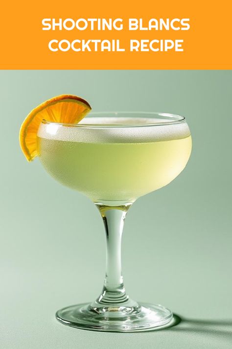 A delightful Shooting Blancs cocktail that's easy to make. This drink beautifully combines sweet and sour, inspired by the classic Whiskey Sour. Perfect for parties! Refreshing Summer Cocktails, Refreshing Cocktail, Seasonal Drinks, Whiskey Sour, Cocktail Recipes Easy, How To Make Drinks, Classic Cocktail, Easy Cocktails, Delicious Cocktails