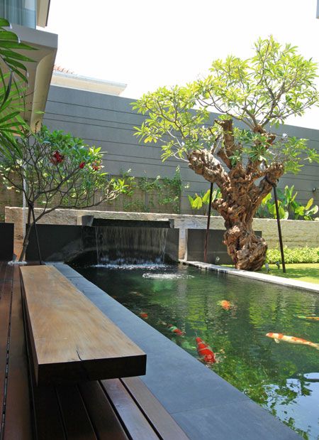 Kamboja Bali, Hospital Design Architecture, Farmhouse Style Exterior, Bali Style Home, Kolam Koi, Tree Photoshop, Modern Elevation, Garden Pond Design, Villa Bali