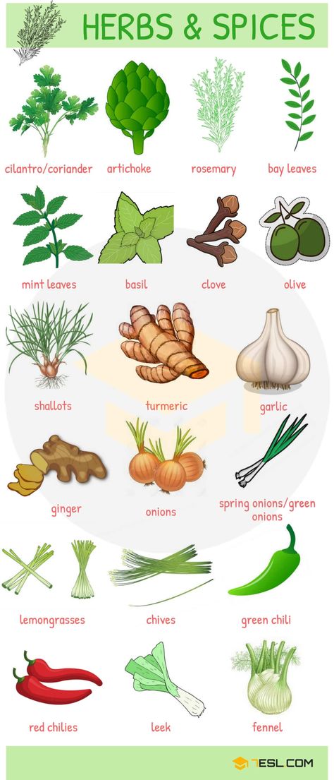 List of Herbs and Spices | Names of Spices and Herbs in English 19 Name Of Vegetables, Food Vocabulary, English Vocab, English Resources, English Language Teaching, English Course, English Tips, English Food, Learn English Vocabulary