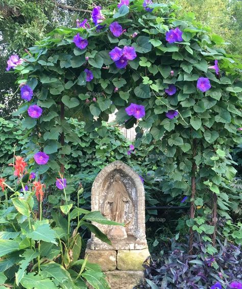 Garden Virgin Mary, Backyard Mary Grotto, Garden Shrine Ideas, Garden Grotto Virgin Mary, Mary Garden Ideas Backyards, Virgin Mary Garden Shrine, Mary Grotto Garden, Backyard Shrine, Mary Garden Catholic