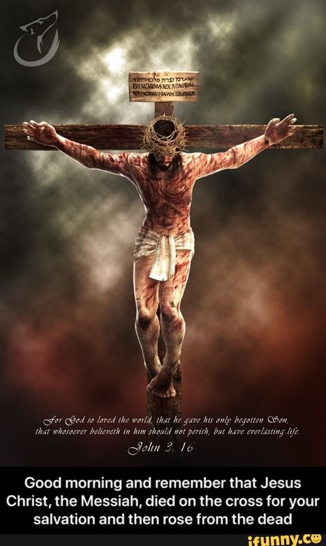 Jesus Crucified, Jesus Our Savior, Jesus Drawings, Jesus Christ Painting, Crucifixion Of Jesus, Pictures Of Christ, Jesus Photo, Jesus Christ Art, Pictures Of Jesus Christ