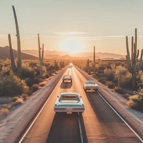 "Desert #RoadTrip: #Autos driving down a #DesertRoad, surrounded by #TallCacti under a #GoldenHour sky. #Vehicles #CactusLandscape #DigitalArt #AIPhotography #StockCake ⬇️ Download and 📝 Prompt 👉 https://stockcake.com/i/desert-highway-drive_350180_168608". Desert Drive, Cars Driving, Desert Highway, Desert Road, Warm Sunset, Luxury Landscaping, Road Adventure, Desert Sunset, Winding Road