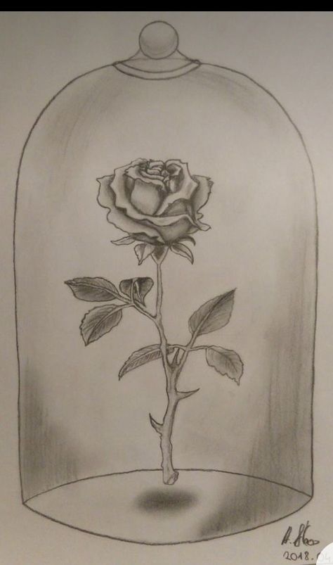 Lc Tattoo, Rose In Glass Dome, Drawing Dragon, Rose Sketch, Easy Love Drawings, Flower Art Drawing, Art Sketches Pencil, Pencil Drawings Easy, Rose Drawing