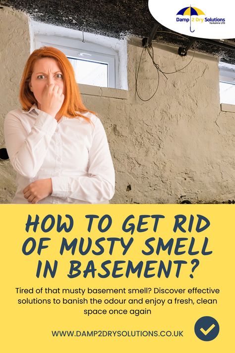 How to Get Rid of Musty Smell in Basement? Cellar Conversion, Clean Space, Smell Fresh, The Basement, New Family, Smell Good, Family Life, Basement, To Learn