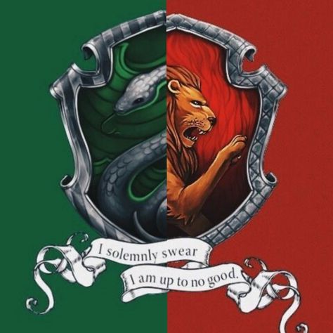 I'm a gryffindor and slytheirn rising.💚❤️💚❤️ Gryfferin Aesthetic, Gryffindor X Slytherin, Slytherin X Gryffindor, Slytherin And Gryffindor, Gryffindor And Slytherin, Harry Potter Portraits, Slytherin Gryffindor, Gryffindor Slytherin, Harry Potter Poster