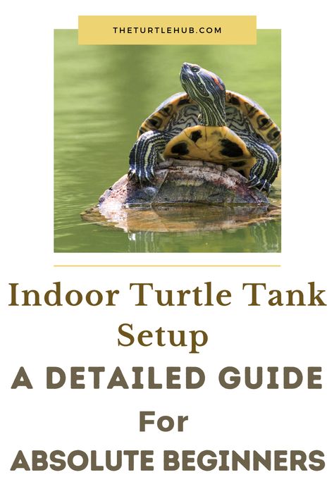 Redear Slider Turtle, Diy Turtle Tank Ideas, Turtle Tank Setup Ideas Diy, Painted Turtle Tank Ideas, Red Ear Slider Turtle Tank Ideas, Aquatic Turtle Tank Ideas, Turtle Tank Setup Ideas, Aquatic Turtle Habitat, Turtle Tank Ideas