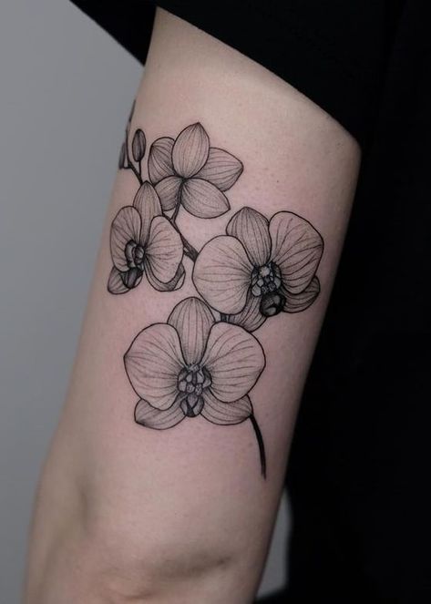 Orchid Tattoo Wrist, Orchid Tattoo For Men, Rose And Orchid Tattoo, Orchid Half Sleeve Tattoo, White Nun Orchid Tattoo, Orchid Hand Tattoo, Realistic Orchid Tattoo, Orchid Chest Tattoo, Single Orchid Tattoo