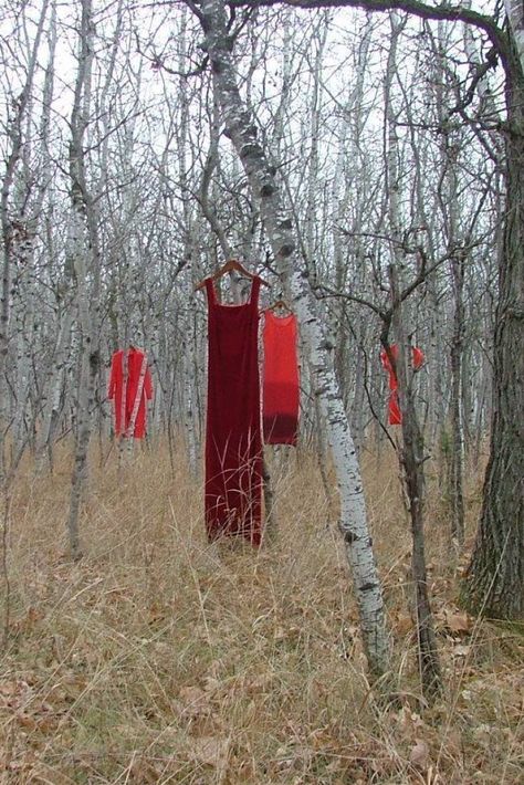 Installation of Red Dresses Draws Attention to Canada's Missing And Murdered Indigenous Women Red Dress Indigenous, Mmiw Red Dress, Indigenous Art Canada, Missing Indigenous Women Art, Indigenous Canada, No More Stolen Sisters, Native Women, Indigenous Women, Native Pride